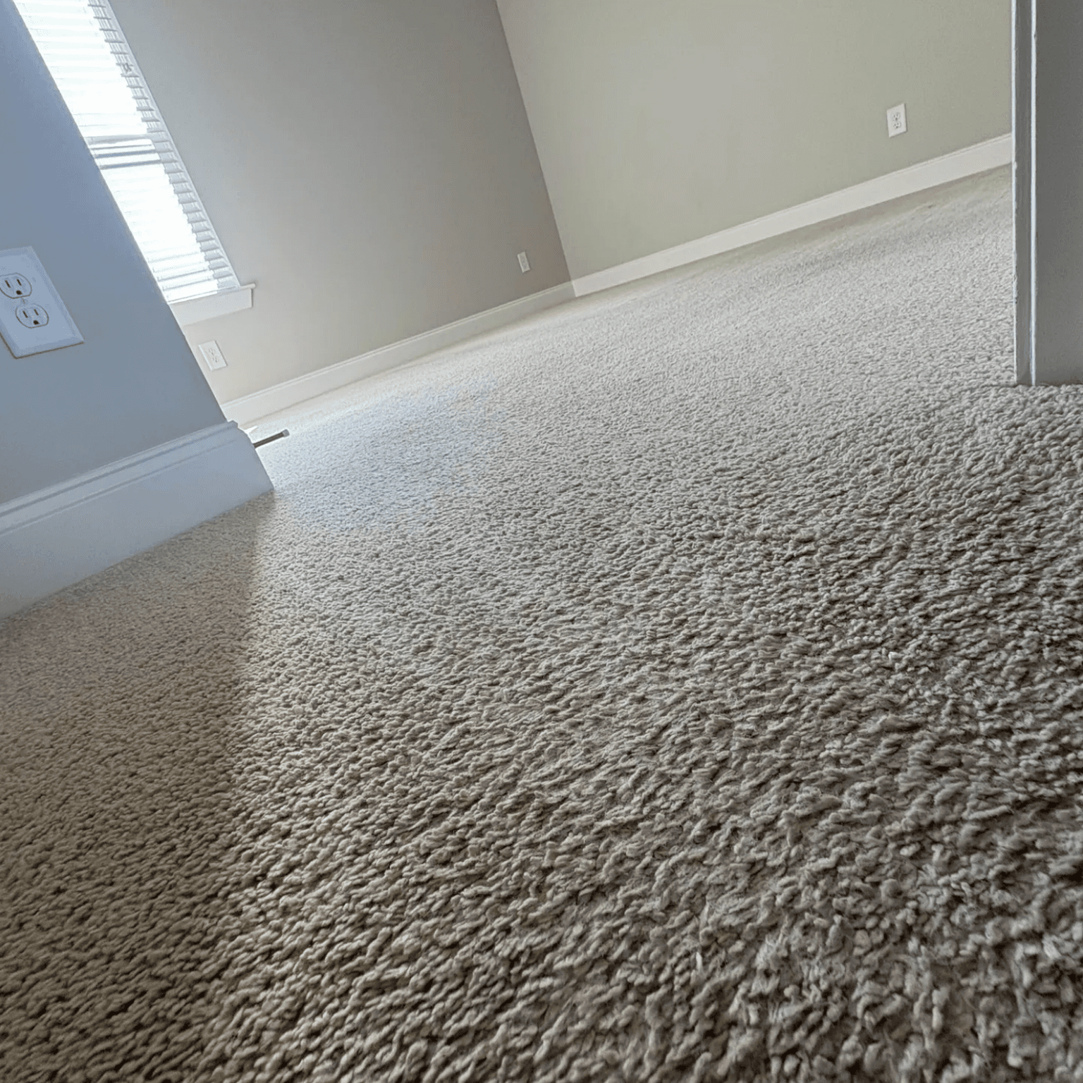 Carpet cleaning in Dixiana, SC