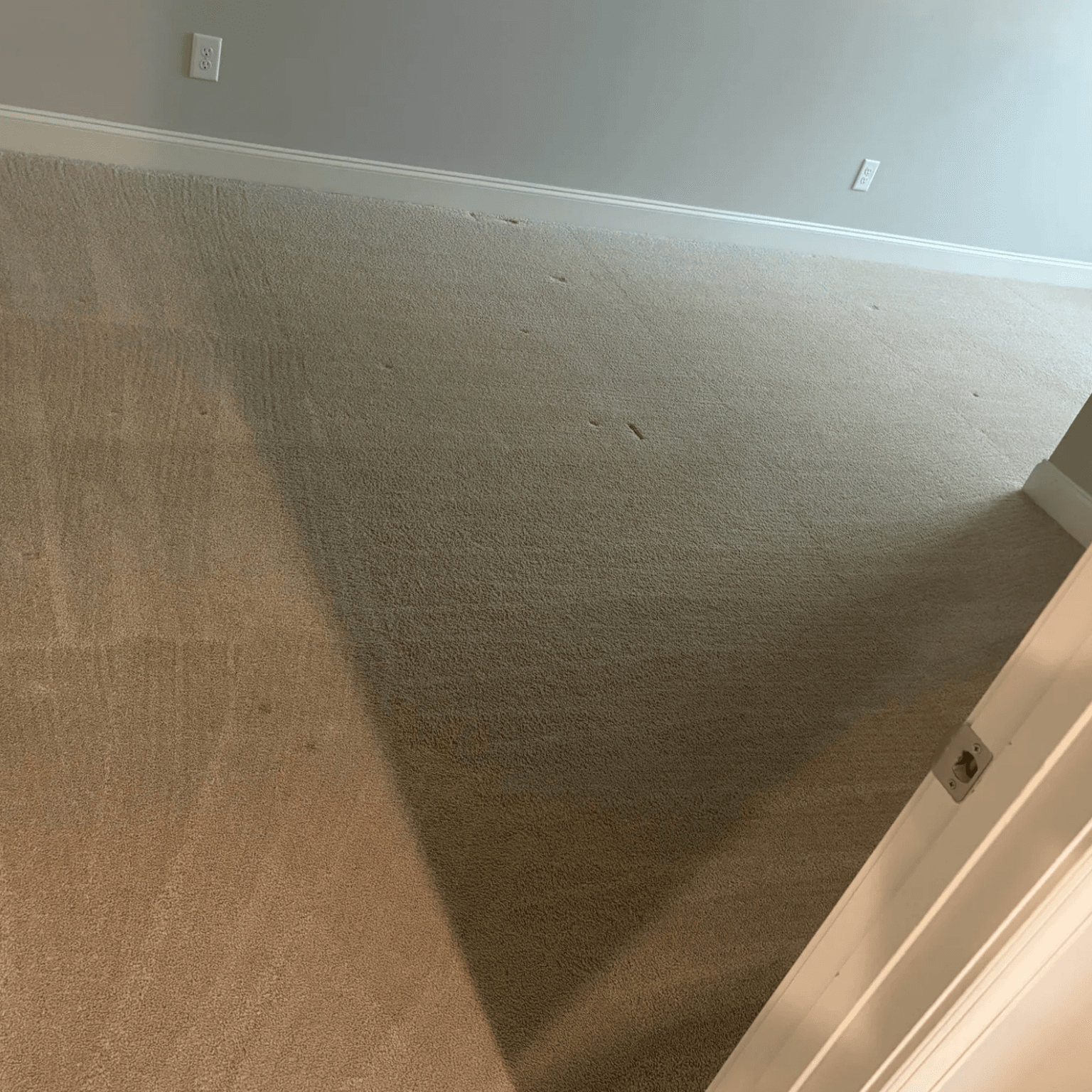 Carpet cleaning in Gaston, SC