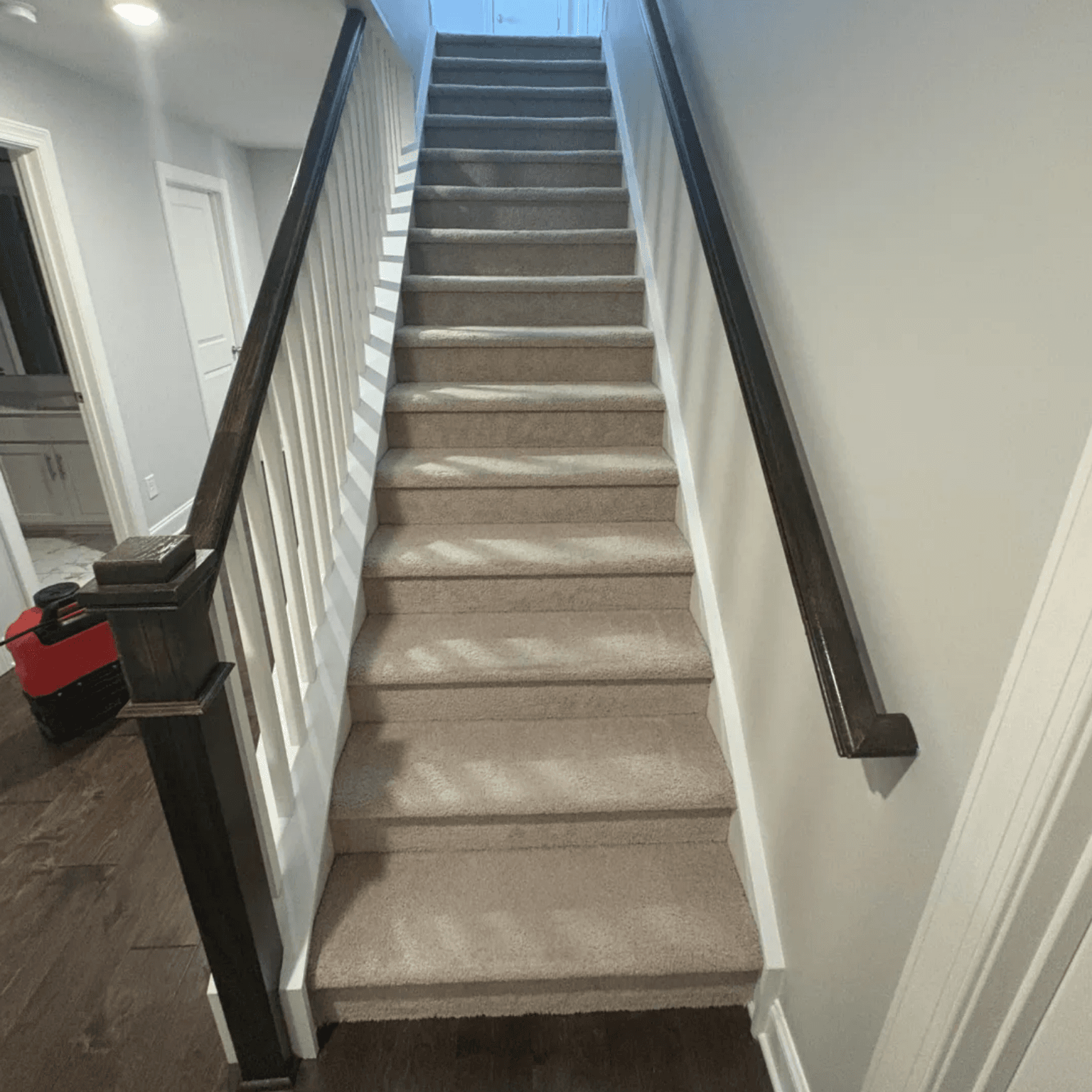 Carpet cleaning in Pelion, SC